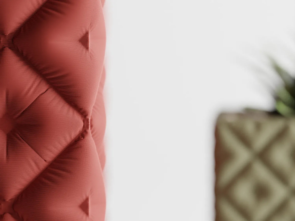 Саксия Cushio