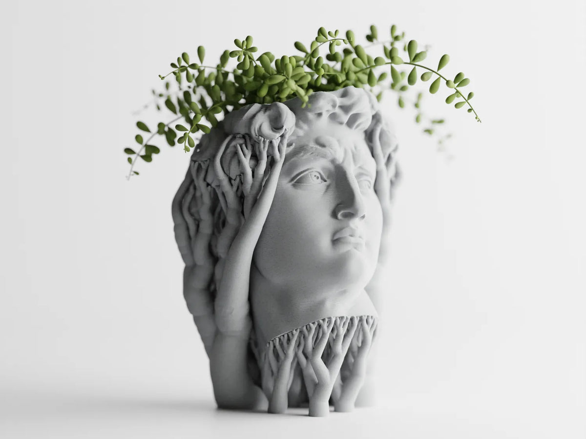 Саксия David