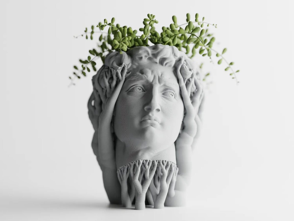 Саксия David
