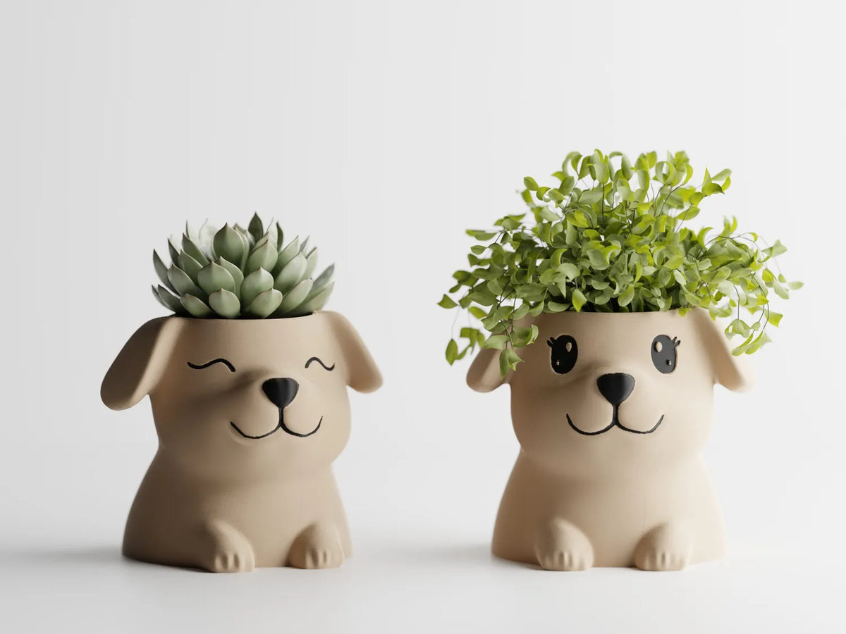 Саксия Puppy