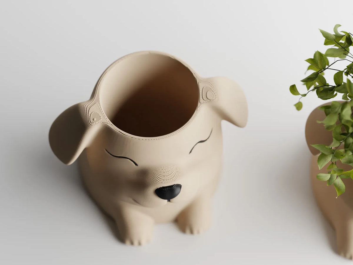 Саксия Puppy