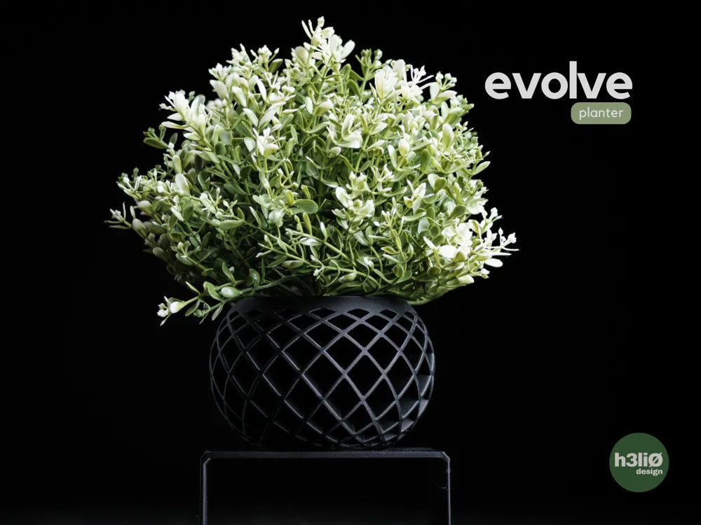 Evolve саксия
