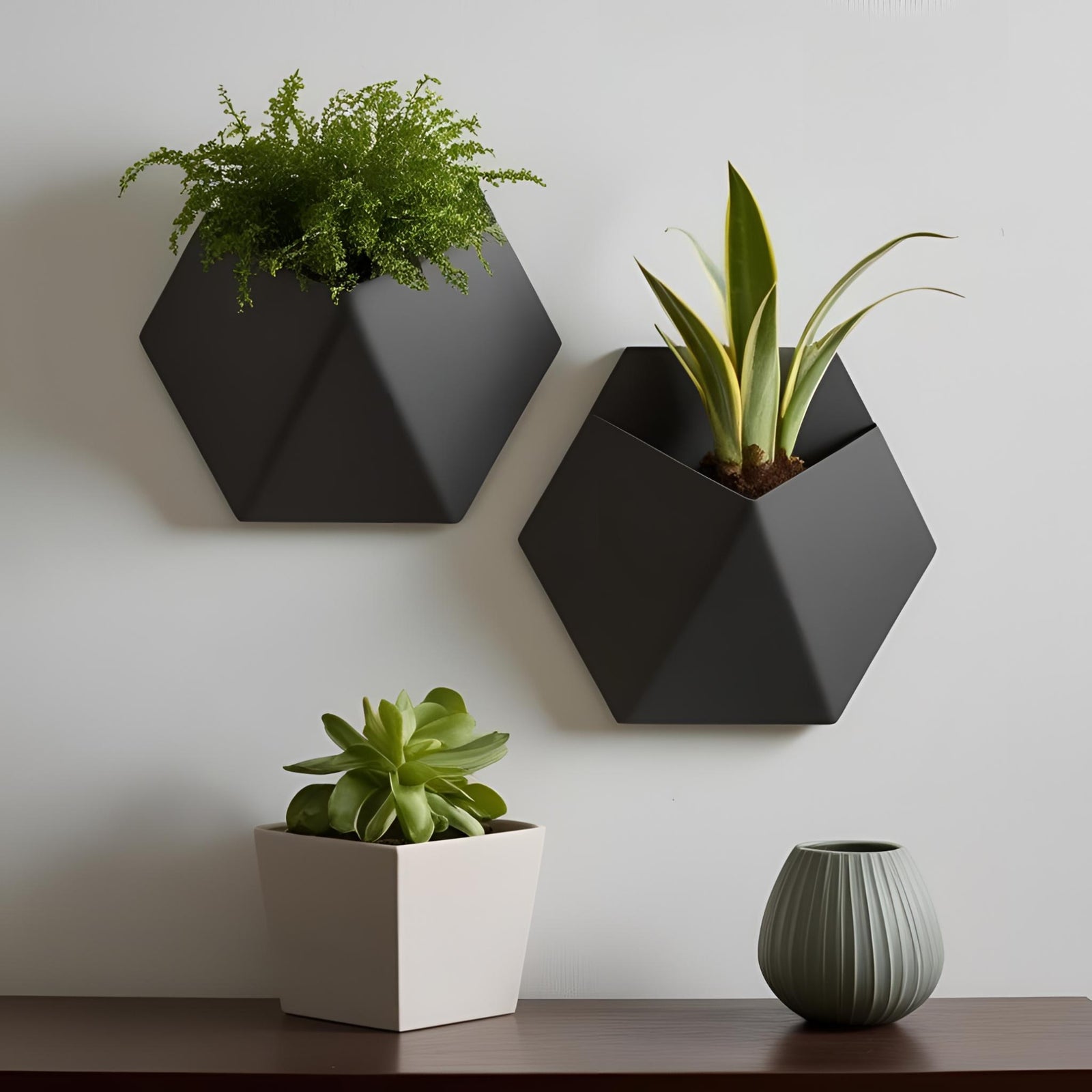 Саксия Triagon Wall
